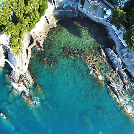 La Terrazza Sul Mare Lägenhet Zoagli Exteriör bild