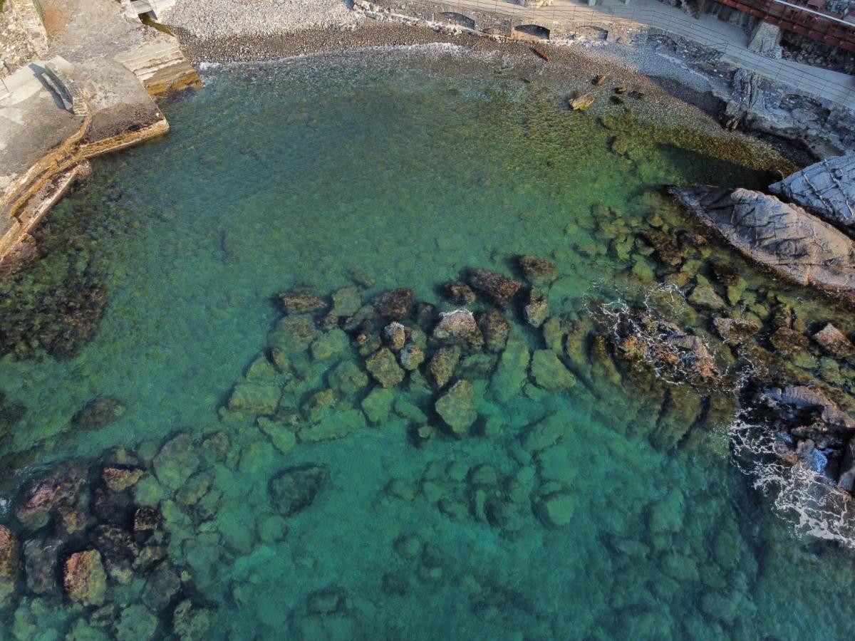 La Terrazza Sul Mare Lägenhet Zoagli Exteriör bild