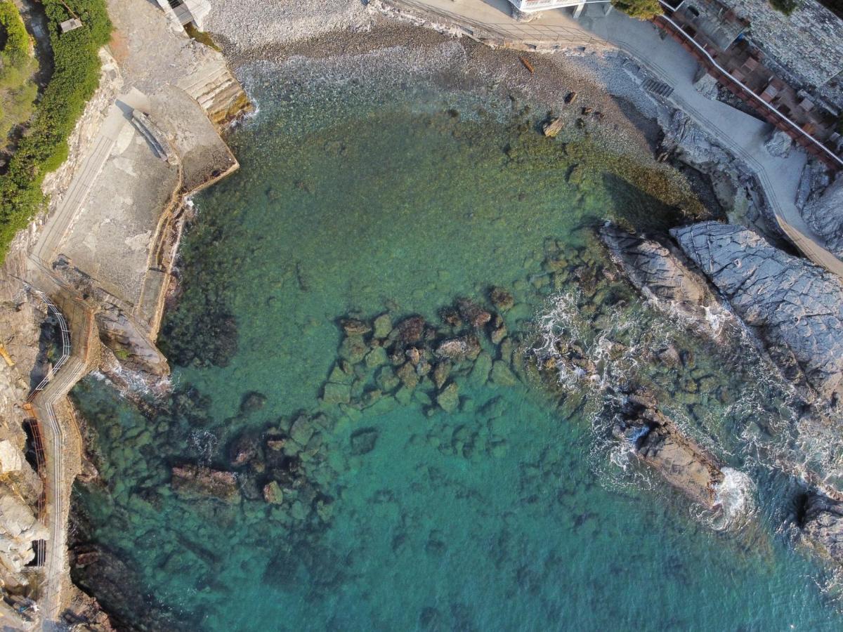 La Terrazza Sul Mare Lägenhet Zoagli Exteriör bild