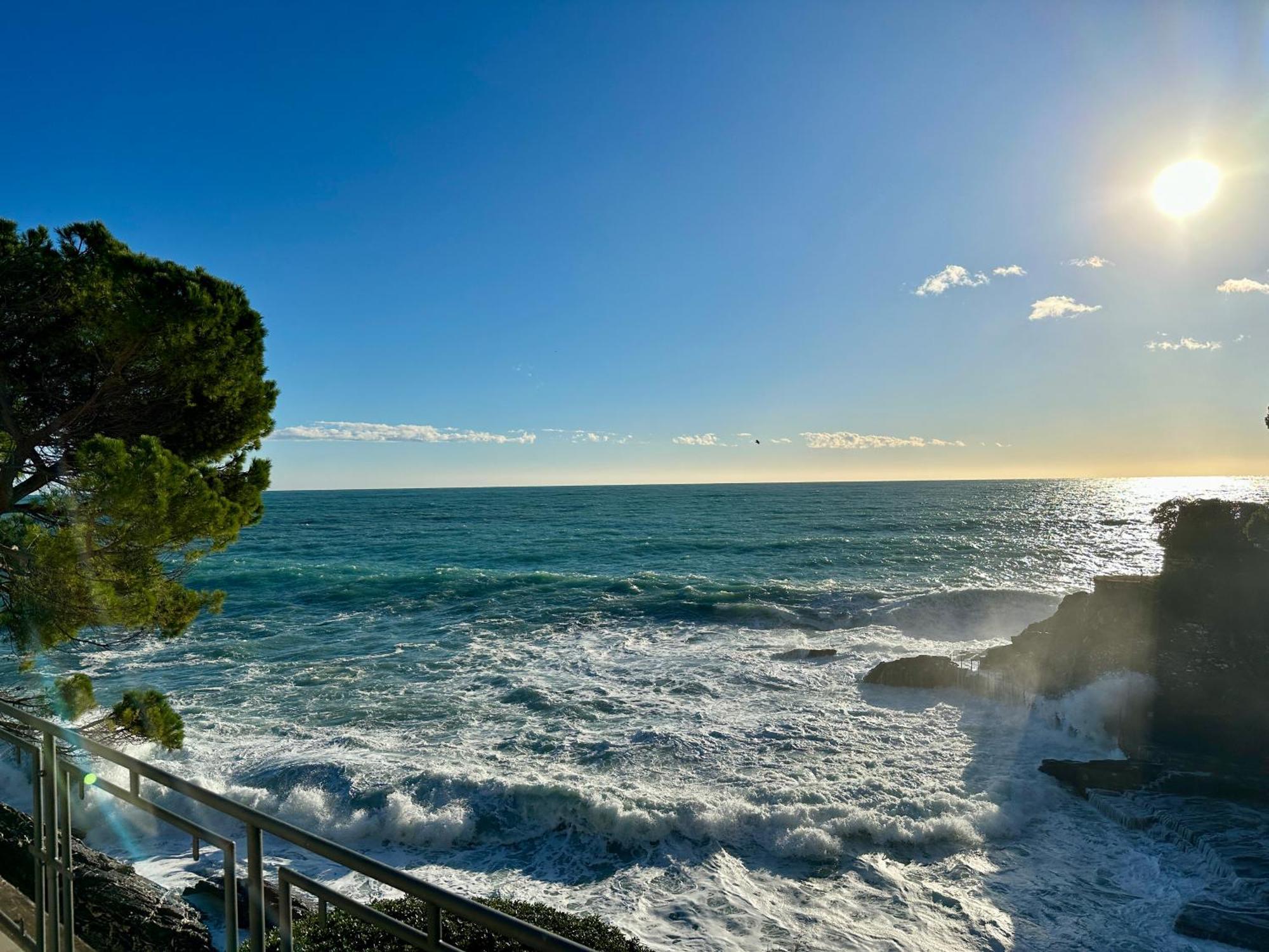 La Terrazza Sul Mare Lägenhet Zoagli Exteriör bild