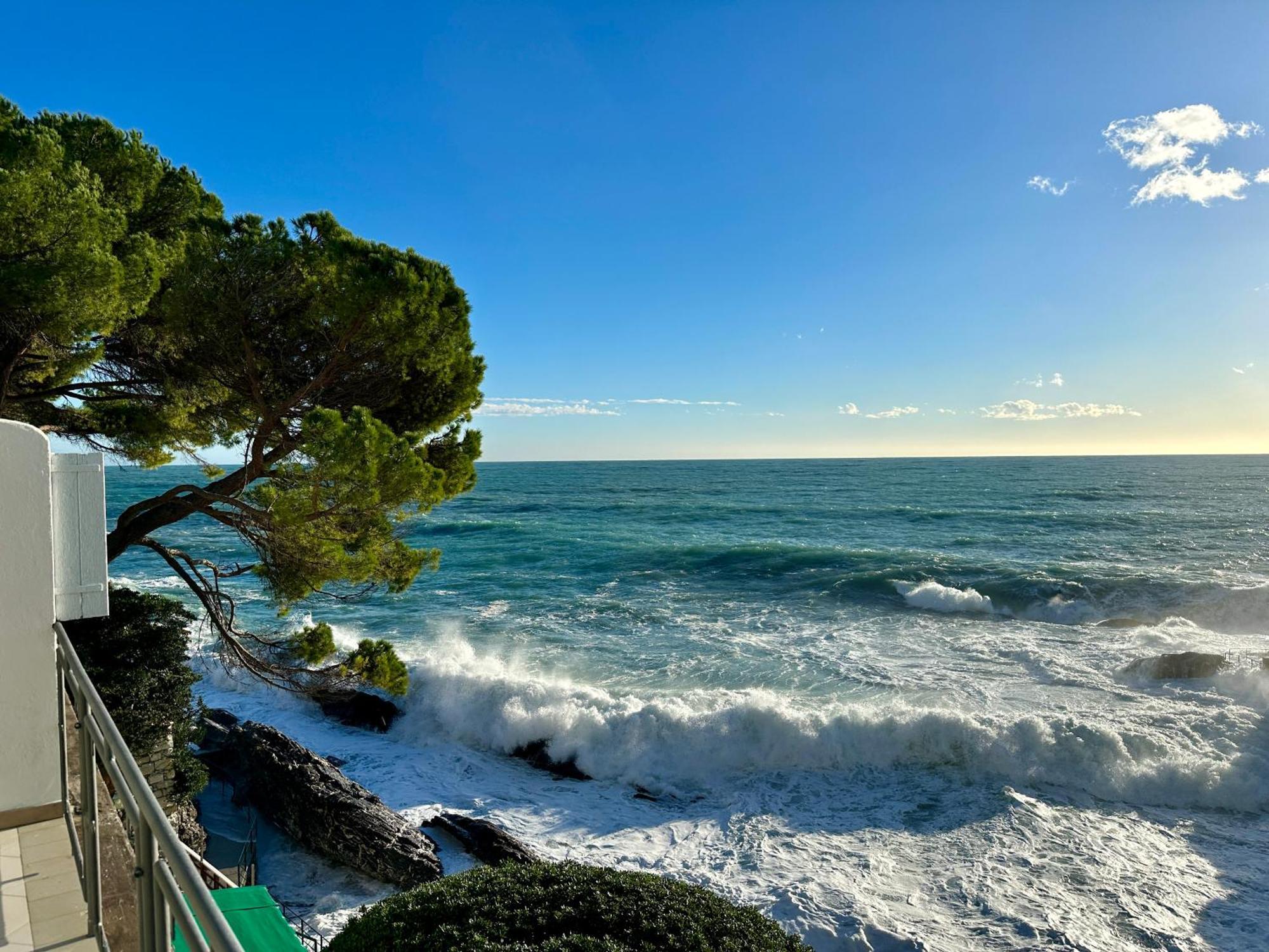 La Terrazza Sul Mare Lägenhet Zoagli Exteriör bild