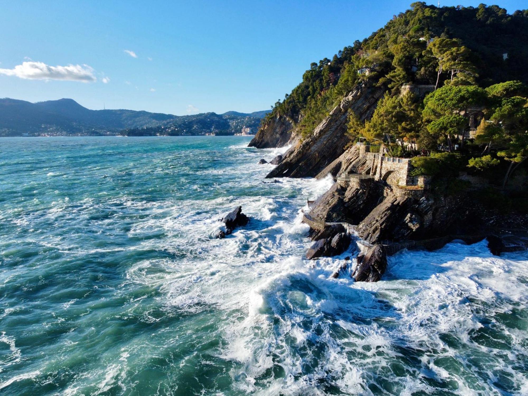 La Terrazza Sul Mare Lägenhet Zoagli Exteriör bild