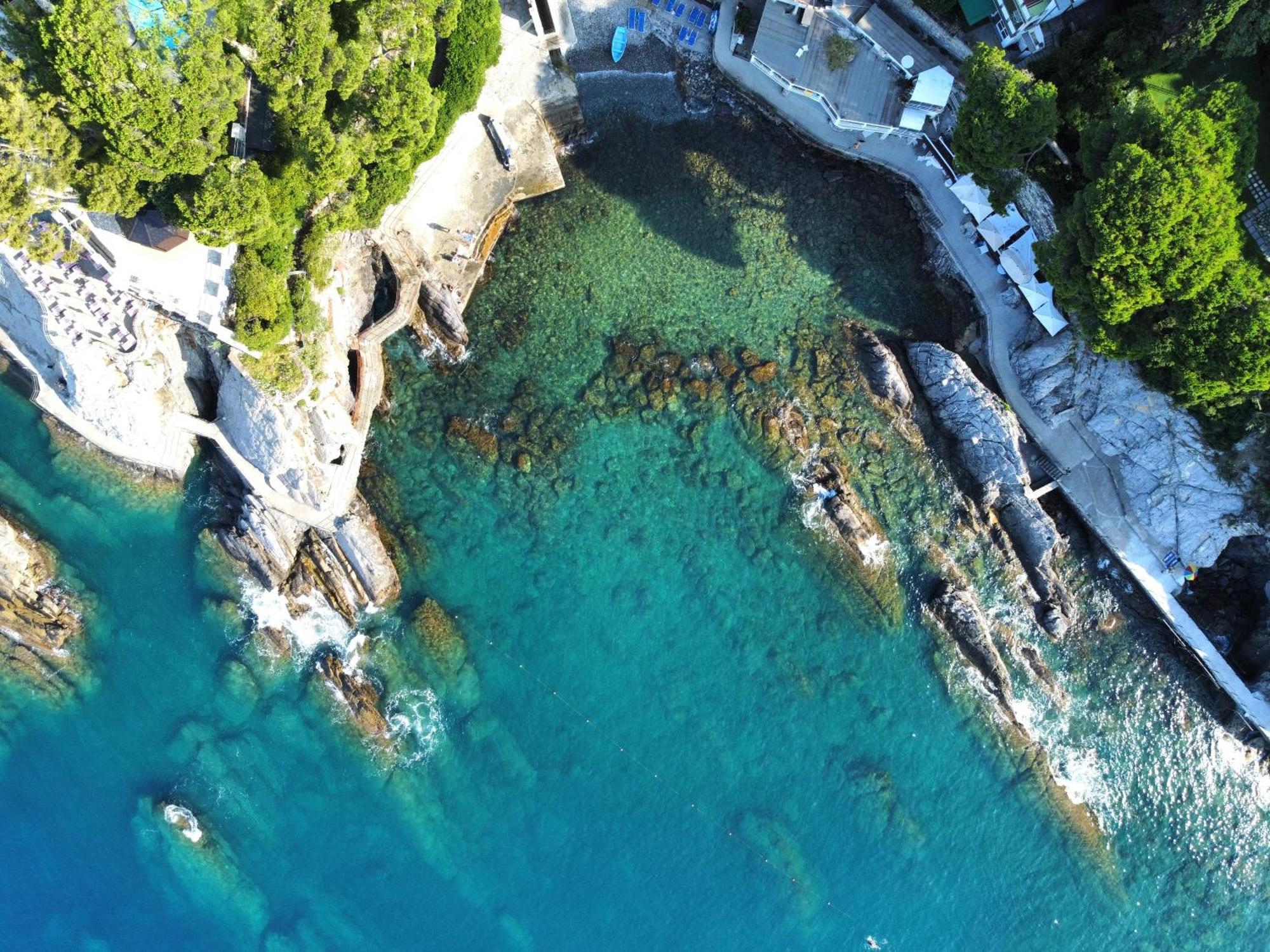 La Terrazza Sul Mare Lägenhet Zoagli Exteriör bild